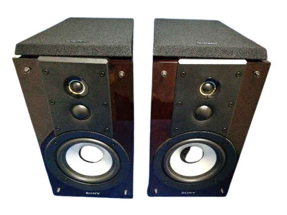 SS−HW1 SONY Sony SS-HW1 Hi-Res Bookshelf Speaker System Wired Home Audio Very