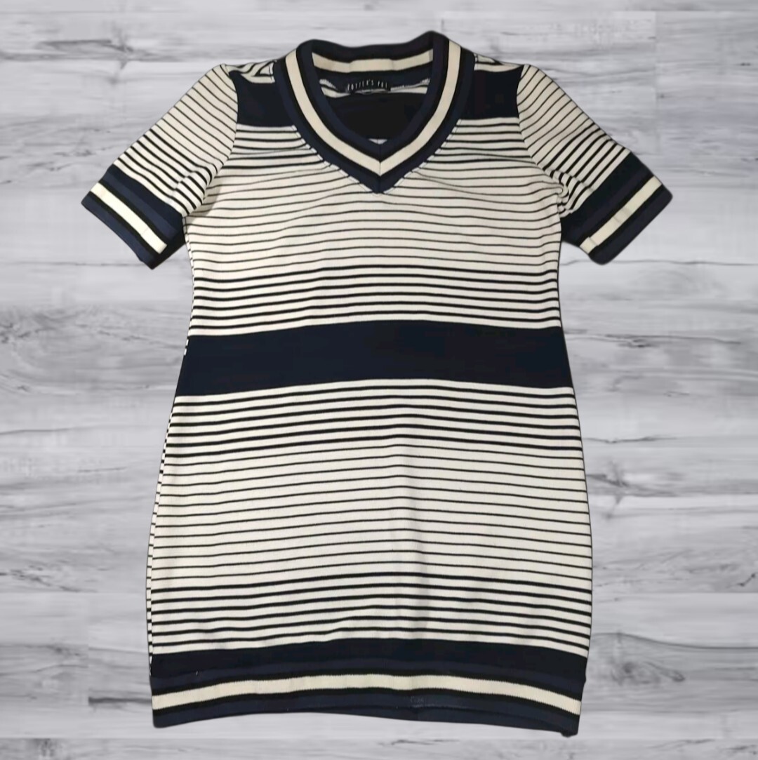 Potters Pot ブルーストライプストレッチ半袖ミニドレス女性サイズ 大きい - image 1