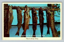 Rice Lake WI-Wisconsin, General Greetings, Fishes Hanging, Vintage Postcard