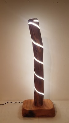 Dekolampe Stehlampe Baumstamm Eiche Holz Handarbeit Unikat Lampe mit