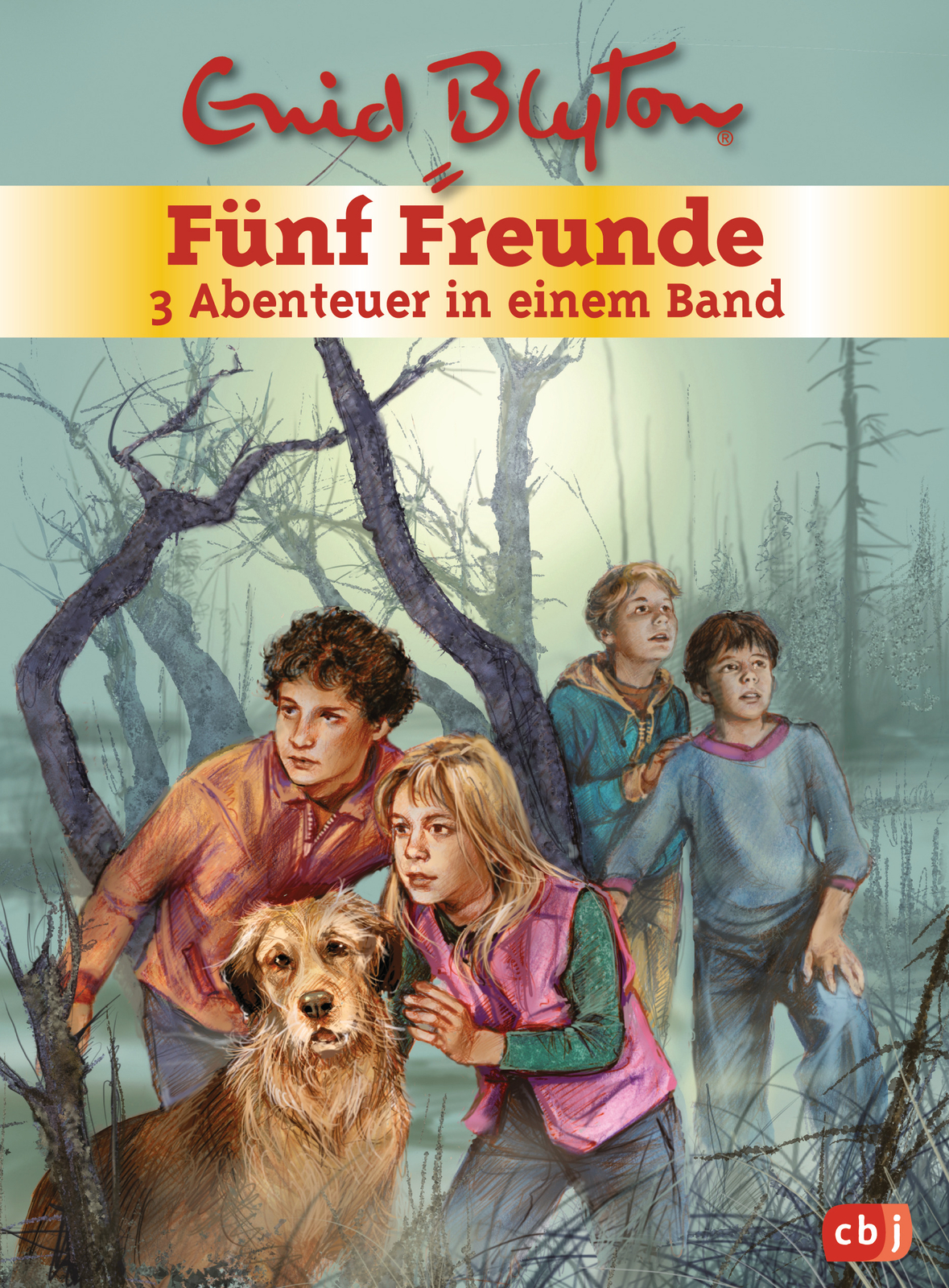 Thumbnail - Enid Blyton / Fünf Freunde - 3 Abenteuer In Einem Band