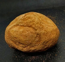 570ct Huge Unopened Yowah Nut Boulder Opal Australia 100% Natural Gamble Maxi