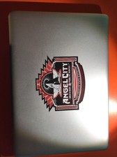 Apple Macbook Pro 2009 13 2.26 Ghz Comes On But No Display