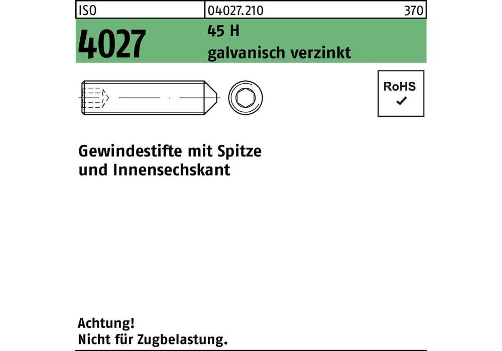 Гальваническое покрытие Reyher Gewindestift ISO 4027 Spitze/Innensechskant M 20 x 60 45 H...