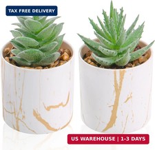 Der Rose Set of 2 Succulents Plants Artificial Mini Fake Succulents Plants for H
