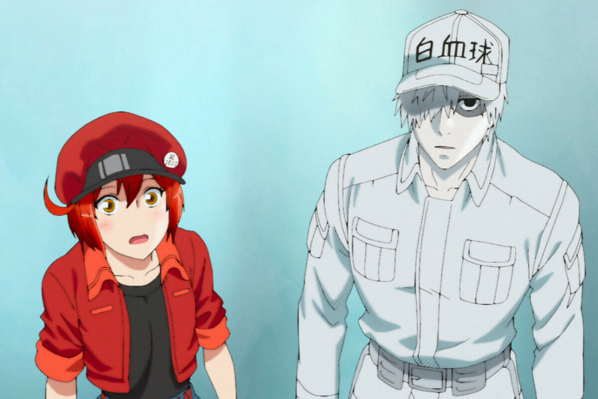 DVD Anime Hataraku Saibou /Cells at Work Complete Series (1-13) English  Subtitle