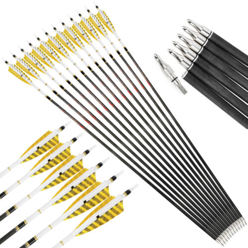 6/12 Archery Pure Carbon Arrows 31" Shaft SP250-600 Feathers Bow Hunting Target - Picture 1 of 12