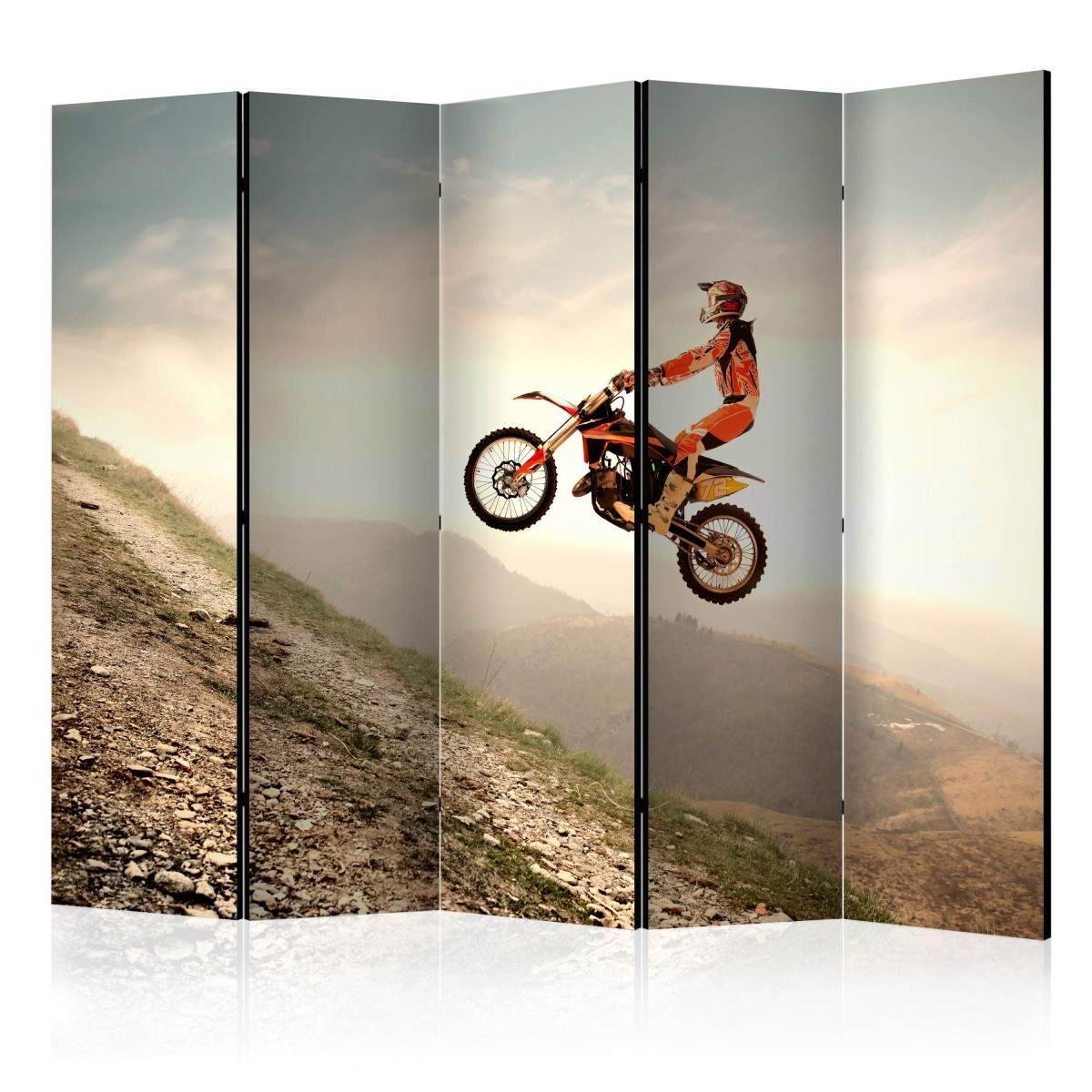 Paravent 5 volets Motor Sport 172x225cm brise-vue intérieur pour grand espace
