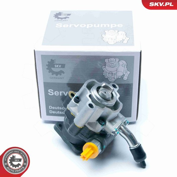 Esen Skv Hydraulikpumpe, Lenkung 10SKV189 FüR Land Rover-image