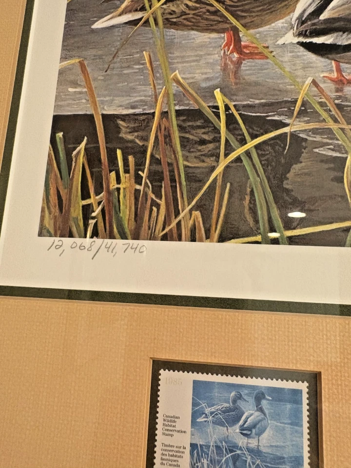 Robert Bateman Mallards Larry Barton Canadá Gansos 1985 Pato Sello Firmado LE Set Foto 4 de 4