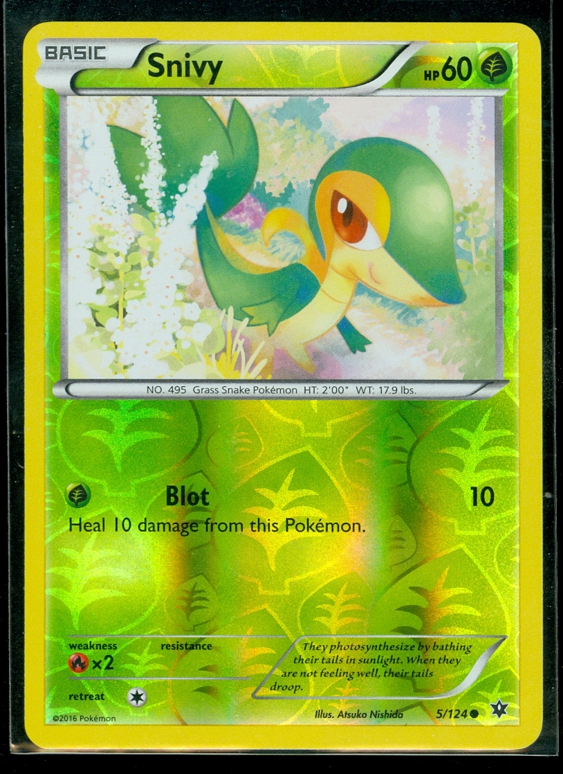 Pokemon SNIVY 5/124 - XY Fates Collide - Rev Holo - MINT