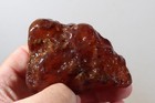 Carnelian Agate 1 lb 7 oz lapidary rough lot #4x — photo 8