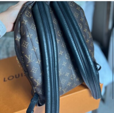 Louis Vuitton Palm Springs Backpack MM Brown Canvas Monogram 