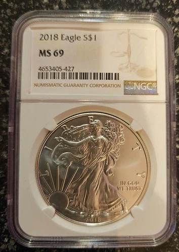 2018 1 ounce Silver Eagle, $1, MS 69, NGC, sealed in protective case