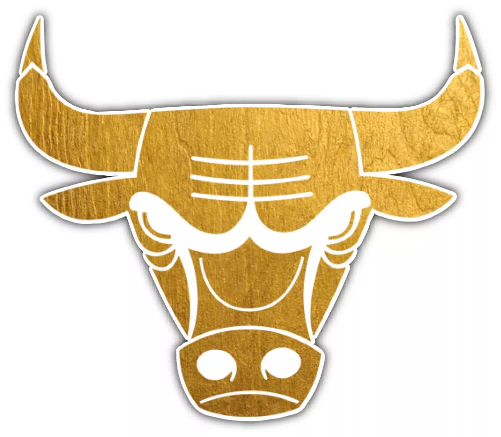 Chicago Bulls NBA Basketball Sport Logo Car Bumper Sticker Decal