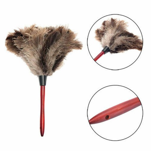 Ostrich Feather Duster - ANV - Picture 6 of 9