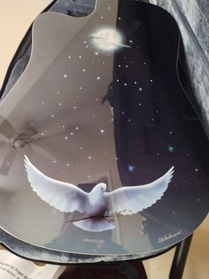 *Esteban Celestial Night Limited Edition Acoustic/Electric Guitar 2008