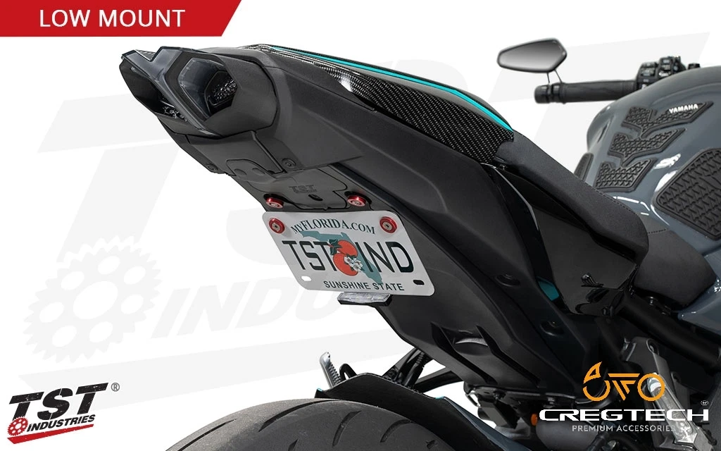 Tst industries fender on sale eliminator