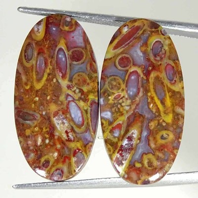 25.70Cts Natural Red Palm Root Agate Oval Pair Cabochon Loose Gemstone 13x27x4mm