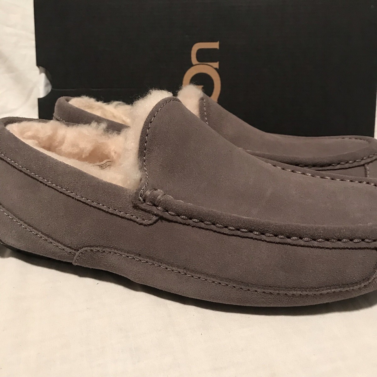 NEW UGG Men