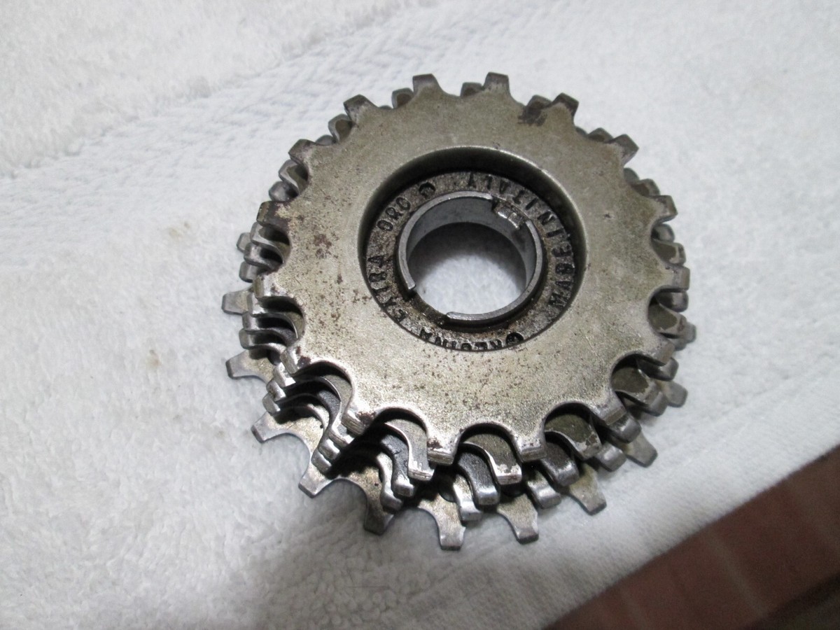 Vintage Regina extra 0RO 5 sp free wheel 16-17-18-19-21 | eBay