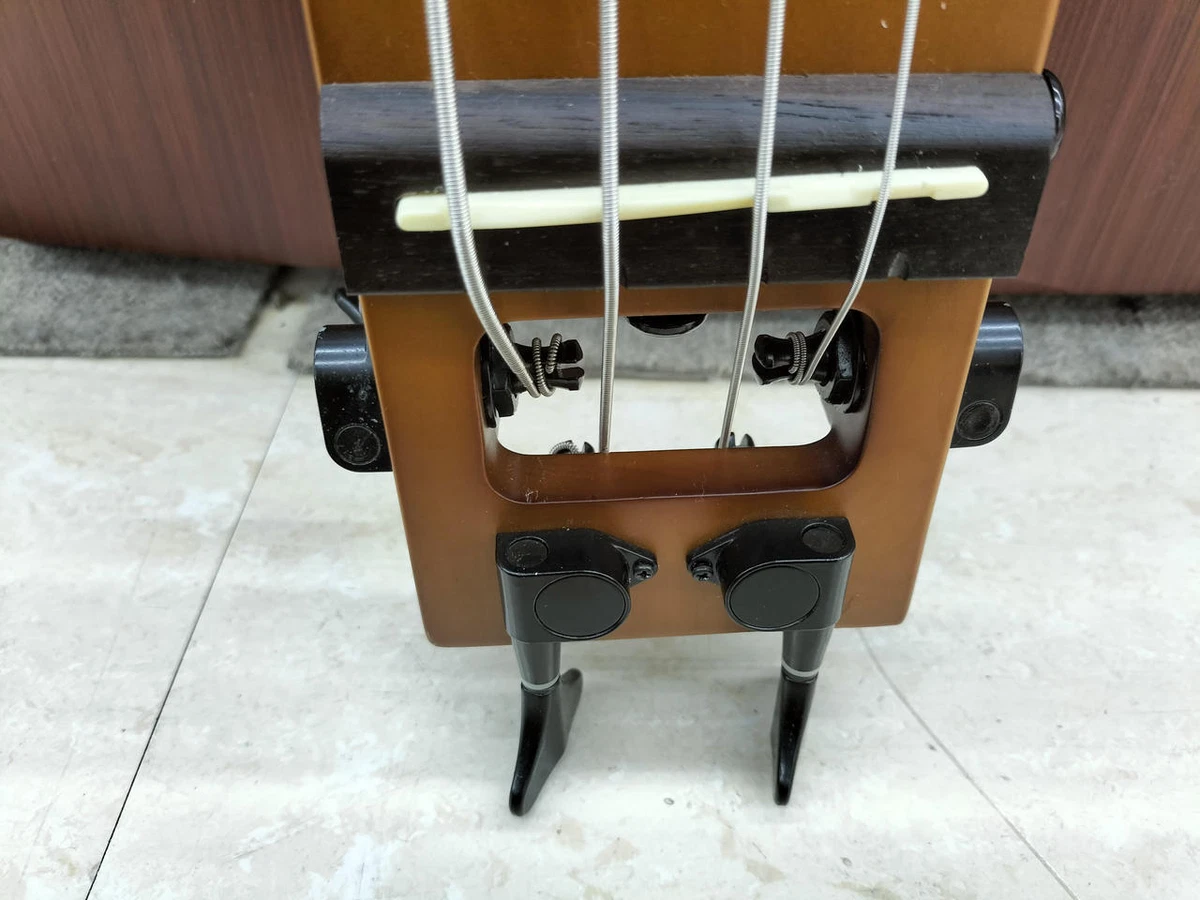 Anygig outlet travel bass