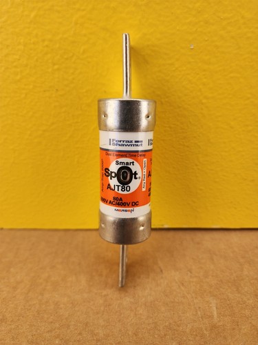 NEU Ferraz Shawmut Amp Trap 2000 AJT80 Sicherung, Klasse J