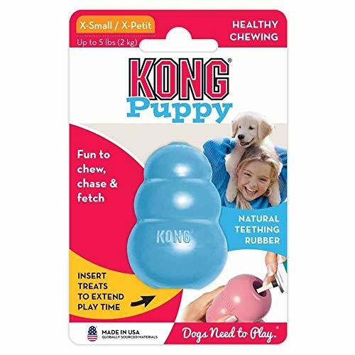 KONG - Puppy Toy - Natural Teething Rubber - Fun to Chew, Chase and Fetch ( Colo | eBay