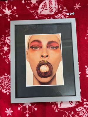 Kunstdruck Kunstwerk selten, gerahmt, OOAK, von STEVEN MEISEL