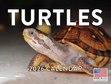 Turtle Calendar 2026 Monthly Wall Calender 12 Month | American Made In The USA