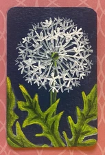 Original Miniature Dandelion Painting 2.75in x1.75in Acrylic Small Botanical Art