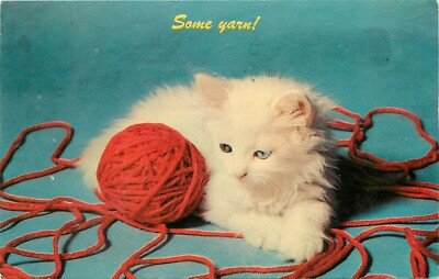 Cute Fluffy White Kitten or Cat with a Ball of Yarn pm 1971 Postcard