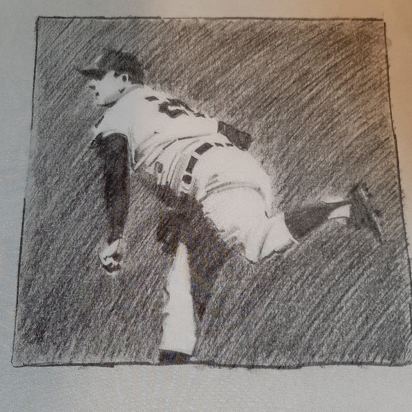 Bild 11 von 12