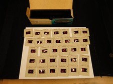Argus 60 Capacity Slide Magazine - With 32 Slides of Louvre Artwork