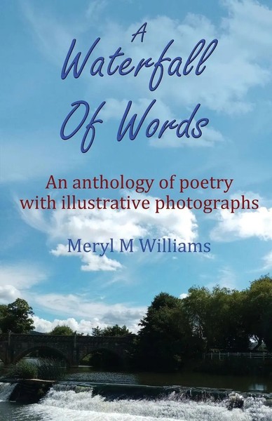 Meryl M Williams | A Waterfall Of Words | Taschenbuch | Englisch (2024)-image