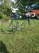 Pinarello Rennrad Treviso Rh 60 cm