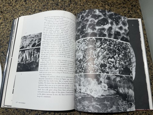 Patterns in Nature by Peter S. Stevens (1974, Hardcover, Ex-Library Copy) - Picture 14 of 24