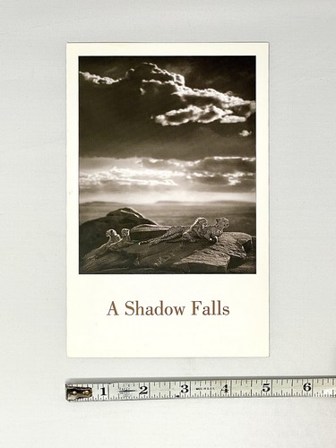 Nick Brandt (geb. 1964) Art Announcement Card 2009 - A Shadow Falls - Stayley-Wise - Bild 4 von 6