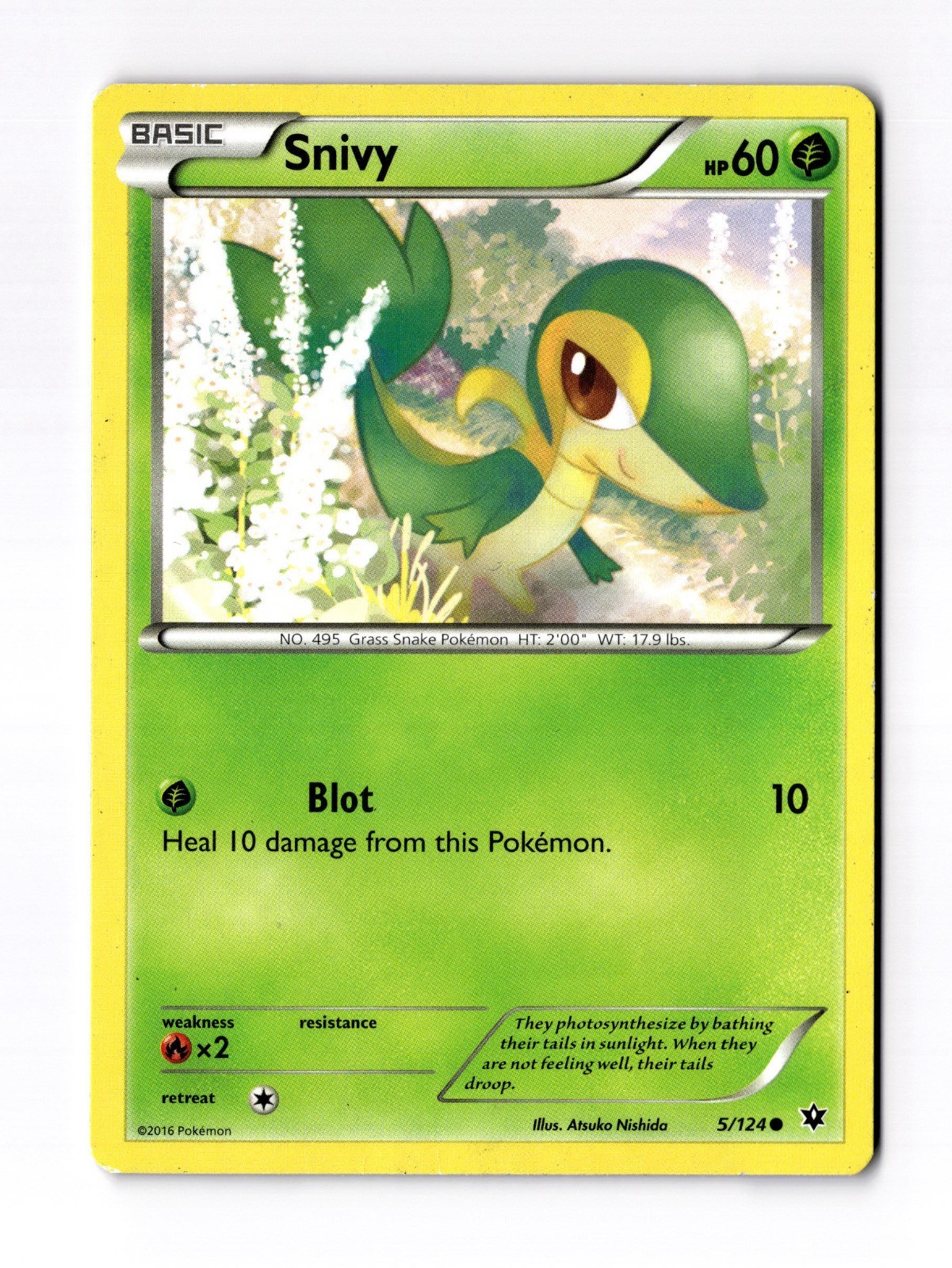 Snivy - XY - Fates Collide (FCO) 5/124 / Common