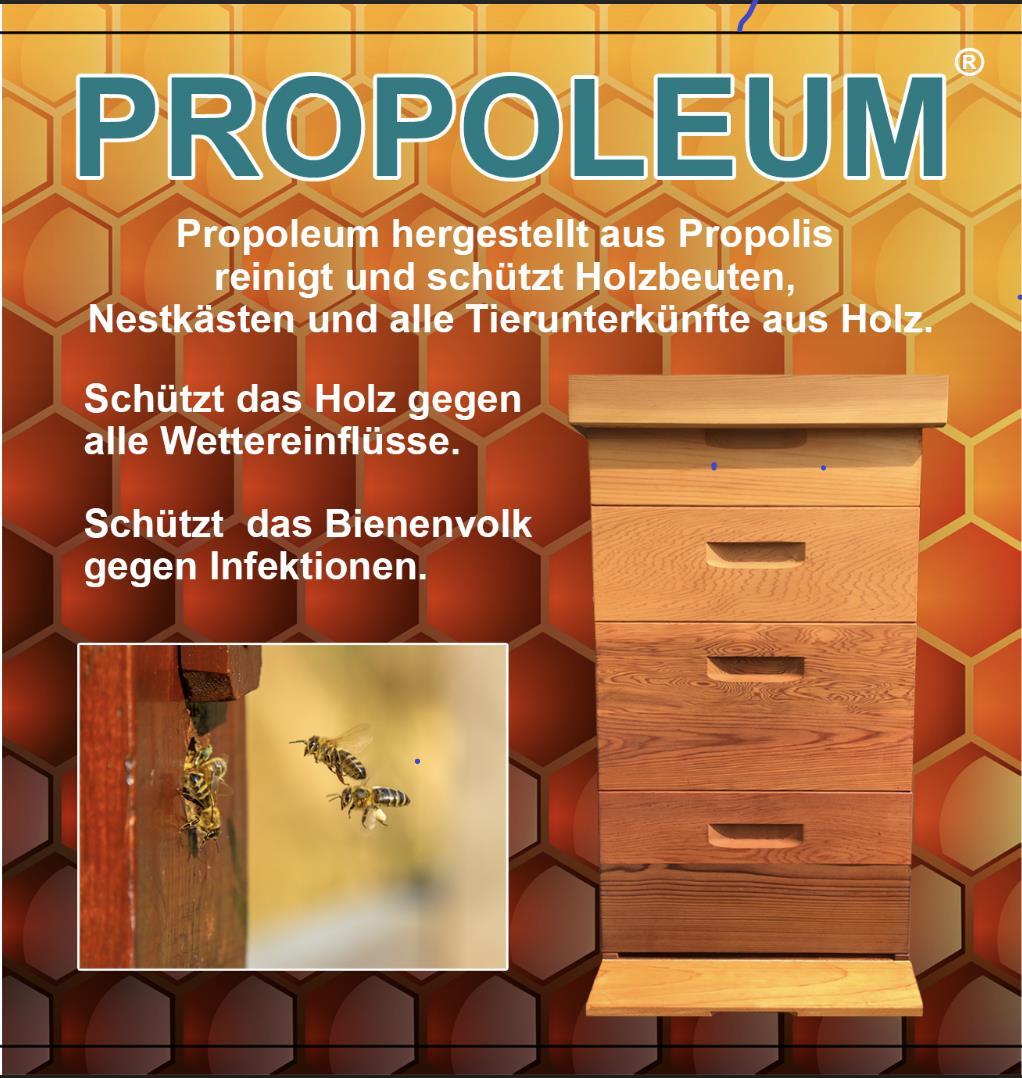 Bild 1 von 3