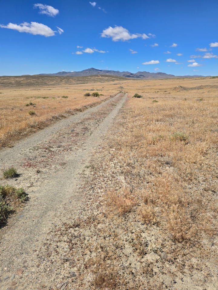 Placerites 3 Placer Gold Mining Claim Near Lovelock Nevada Historic