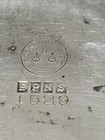 Picture 4 of 12