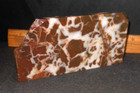 California Chocolate Cheetah Jasper Rough — photo 2
