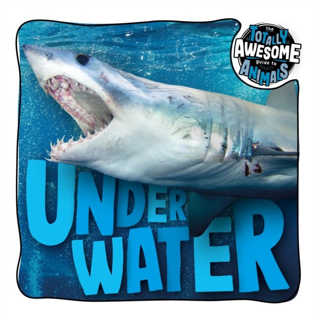 Under Water by Brenda McHale (Paperback Book)