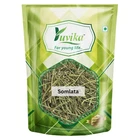 Somlata Gerard Jointfir Khanta Asmania Gerardiana Herb Branch Stem Herbal
