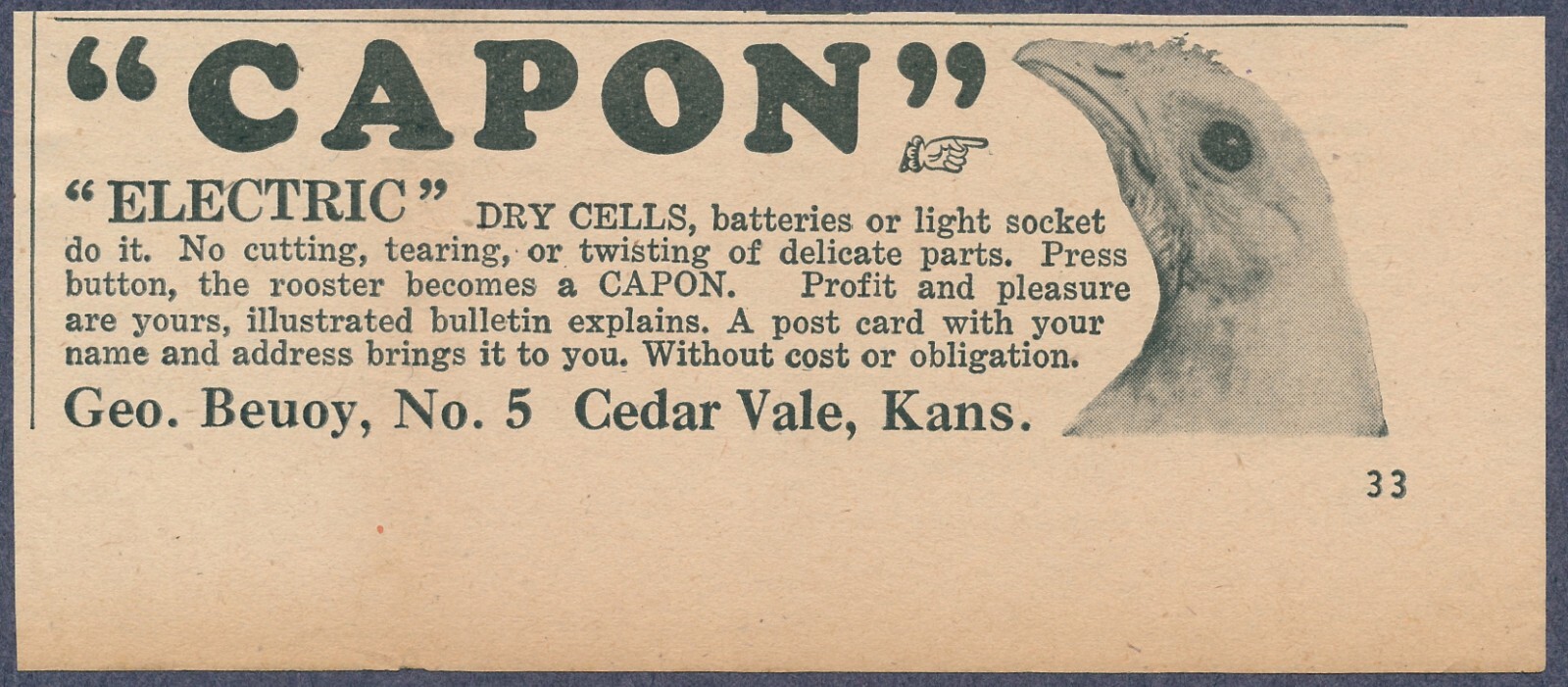 Electric Capon Method Rooster Castration Battery Socket Vintage Print Ad 1946