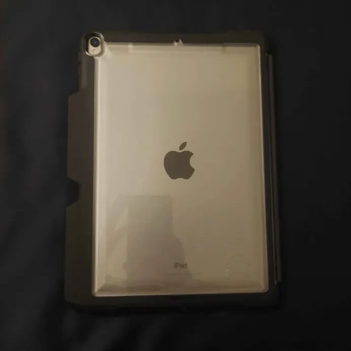 Apple iPad Pro (10.5-inch) A1701 256 GB, Wi-Fi, 10.5 in