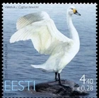 EST_376 2007 Estonia birds Tundra swan FAUNA MNH