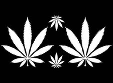 Marijuana Leaf 3 Inch White Fused Glass Decals