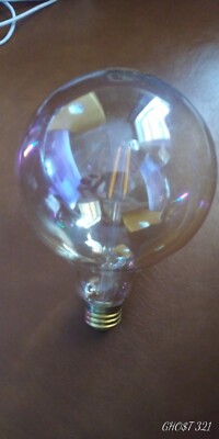 Globe Electric Vintage Edison Light